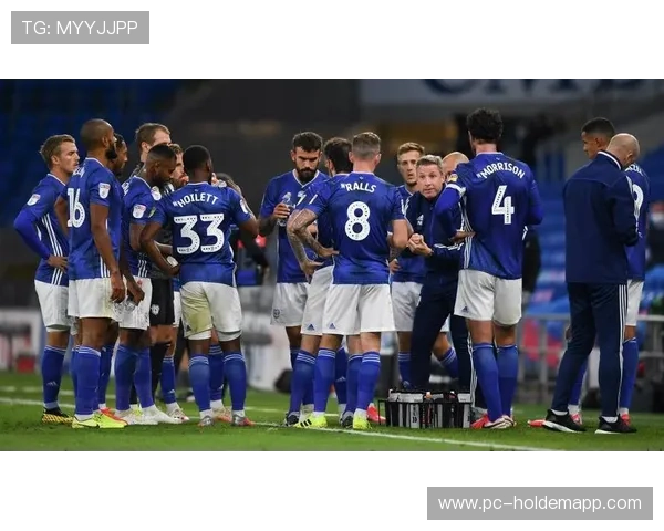 米科连科自摆乌龙后将功补过,助攻助埃弗顿逆转富勒姆 米科连科自摆乌龙后将功补过,助攻助埃弗顿逆转富勒姆